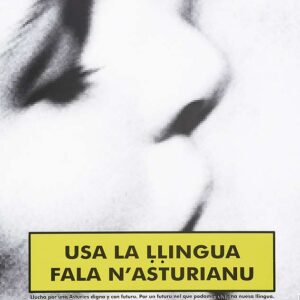 Cartelos n'asturianu (1976-2005)